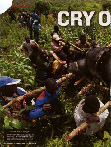 gorillas in the mist ebook download Ebook mist in download the gorillas
